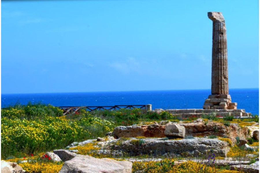 Costituzione della Segreteria Provinciale di Crotone Costituzione della Segreteria Provinciale di Crotone