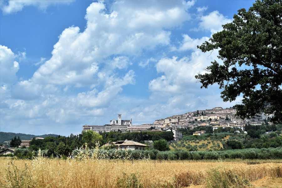 Costituzione della Segreteria Provinciale di Perugia Costituzione della Segreteria Provinciale di Perugia