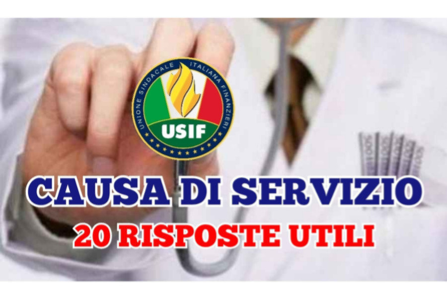 LA CAUSA DI SERVIZIO - 20 RISPOSTE. LA CAUSA DI SERVIZIO - 20 RISPOSTE.